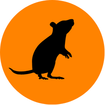 Rats & Mice Control icon