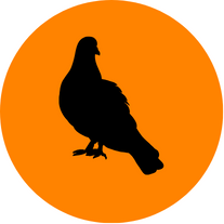 Pest Birds Control icon