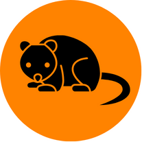 Possums & Wildlife Management icon