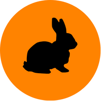 Rabbit Control icon