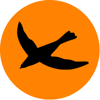 Swooping birds icon